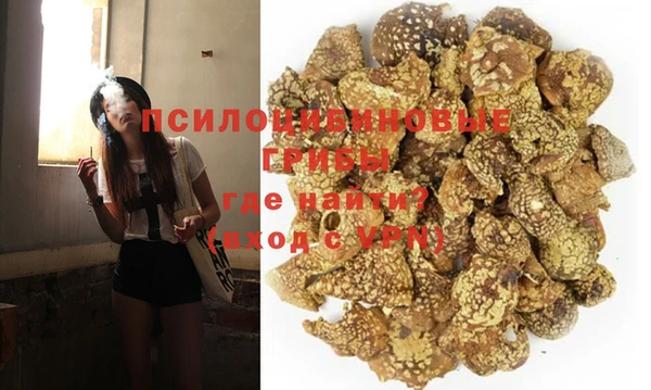 трава Нягань