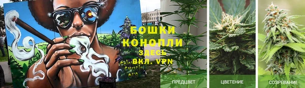 таблы Новодвинск