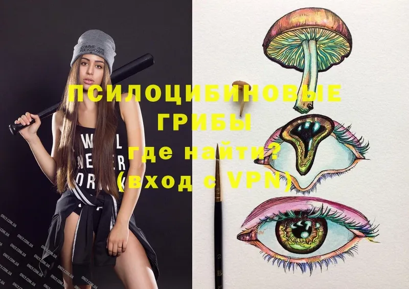 Псилоцибиновые грибы Psilocybe  наркотики  Кубинка 