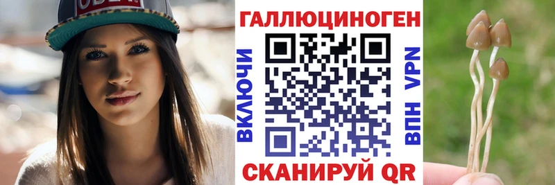 Псилоцибиновые грибы GOLDEN TEACHER  Кубинка 