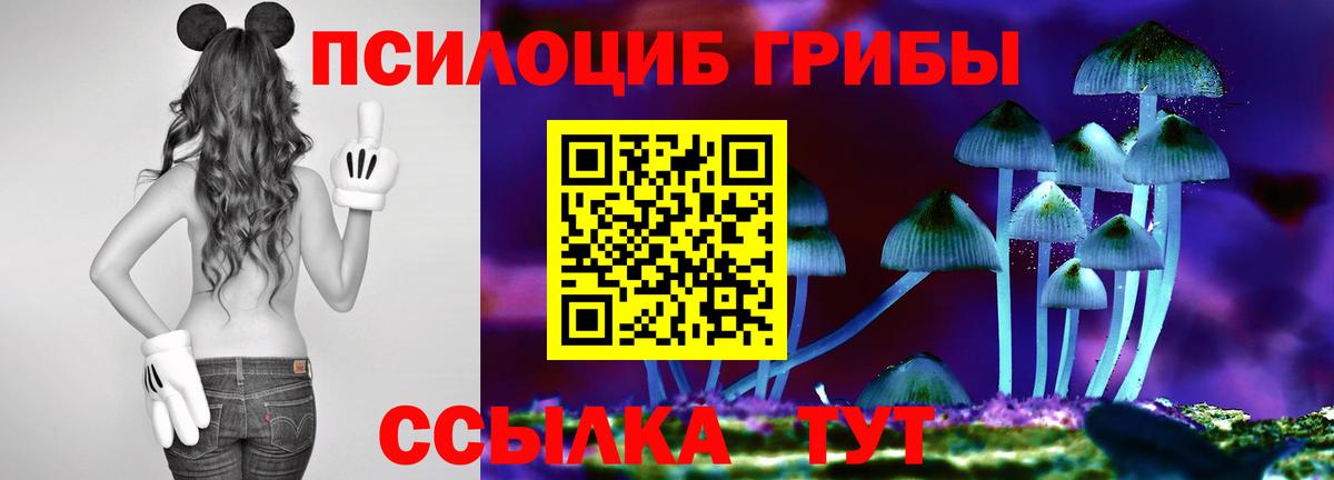 Кубинка  Галлюциногенные грибы прущие грибы  Вход с VPN 